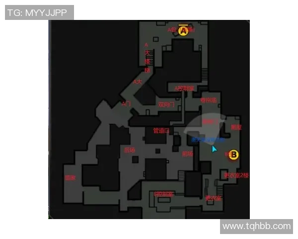 重庆排球队阵地战打法深度解析与战术优势剖析 重庆排球队阵地战打法深度解析与战术优势剖析