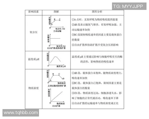 成都排球队区域防守分析及其对比赛结果的影响探讨 成都排球队区域防守分析及其对比赛结果的影响探讨