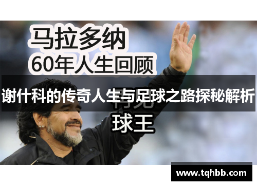 谢什科的传奇人生与足球之路探秘解析