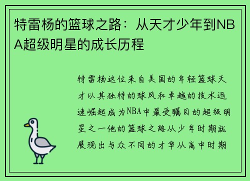 特雷杨的篮球之路：从天才少年到NBA超级明星的成长历程